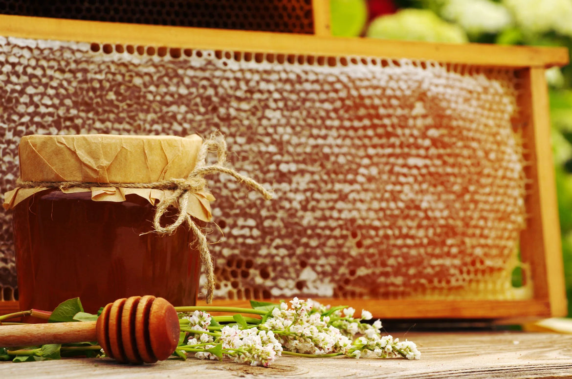 Love A Great Deal? Substitute Buckwheat Honey For A More Effective, Local Affordable Option vs. Manuka Honey