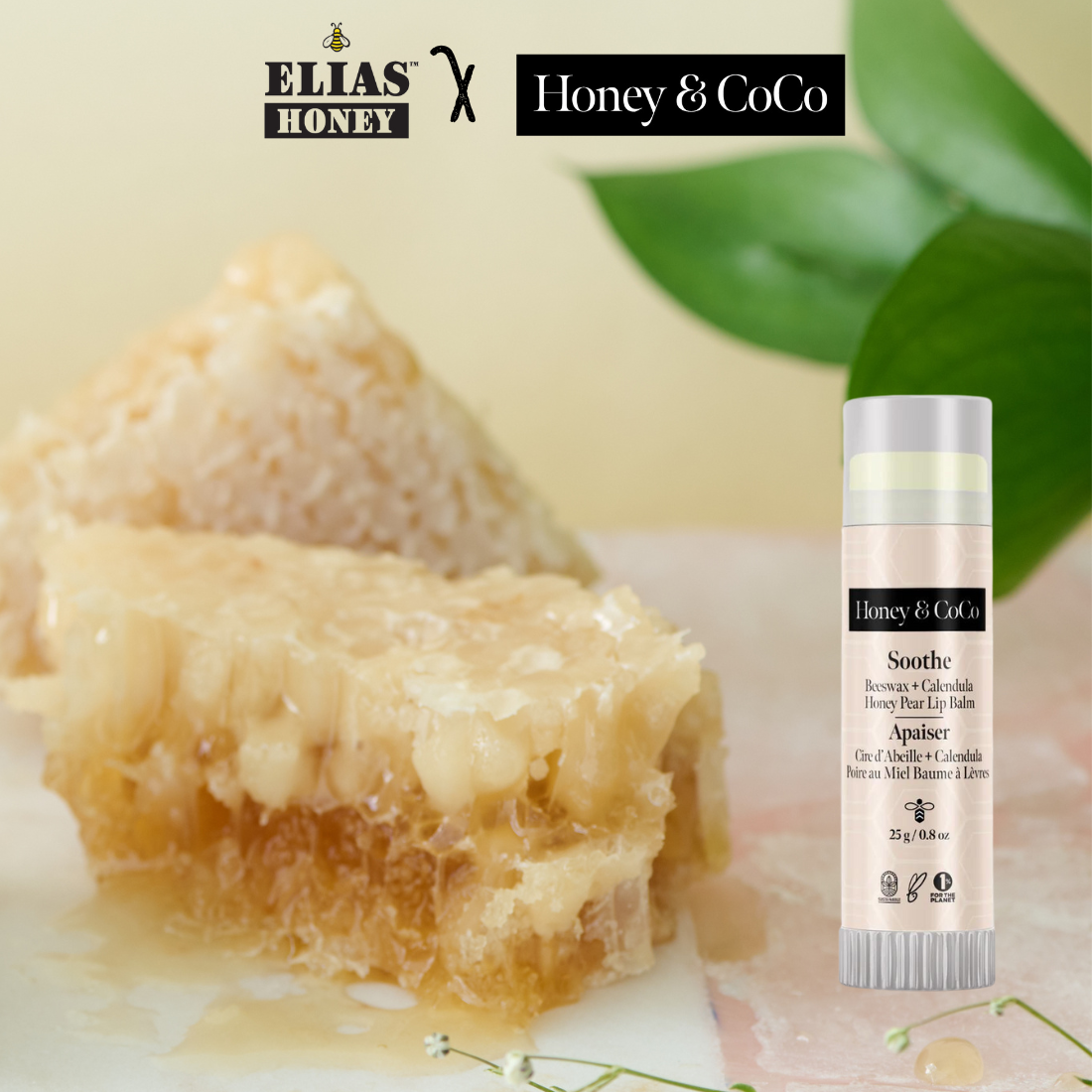 Elias Honey x Honey & CoCo - Honey Pear Lip Balm